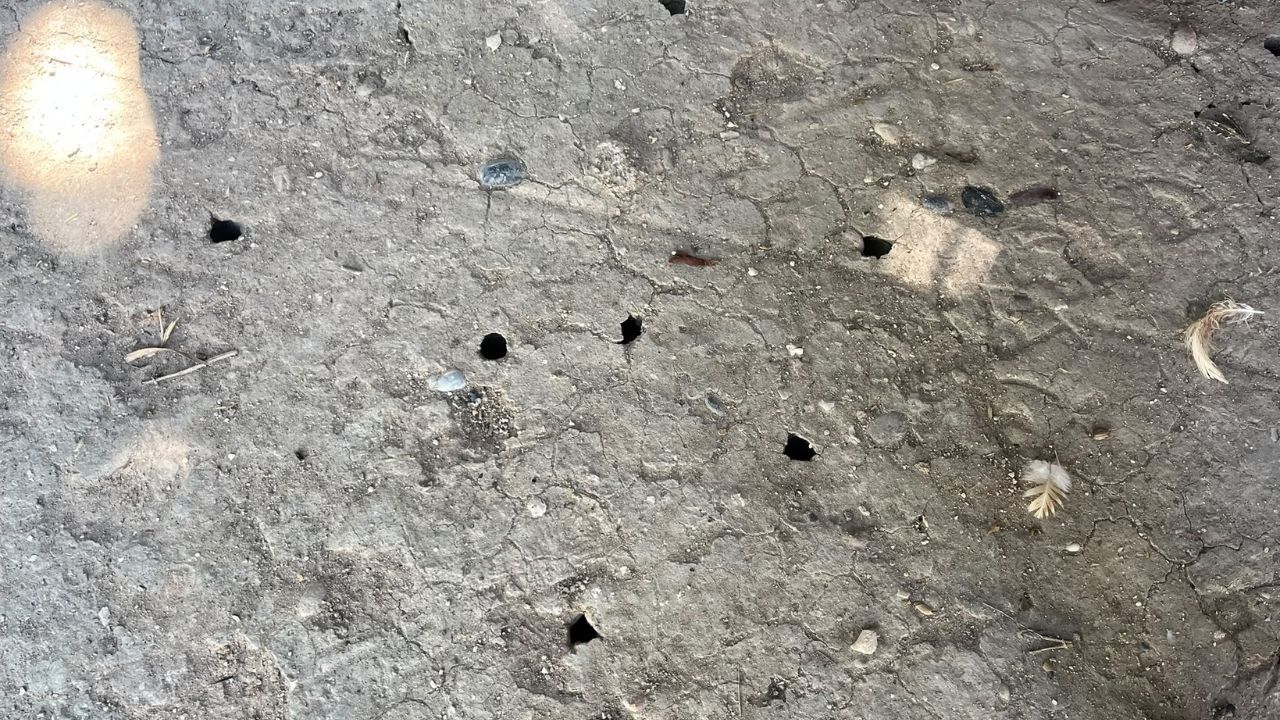 Osmaniye'de Toprağın Altında 15 Yıl Bekleyip 15 Gün Yaşıyorlar (1)