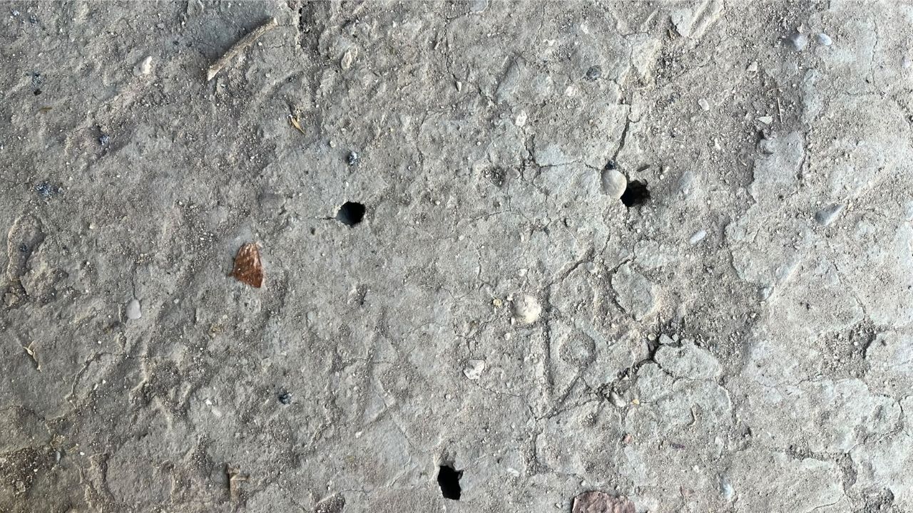 Osmaniye'de Toprağın Altında 15 Yıl Bekleyip 15 Gün Yaşıyorlar
