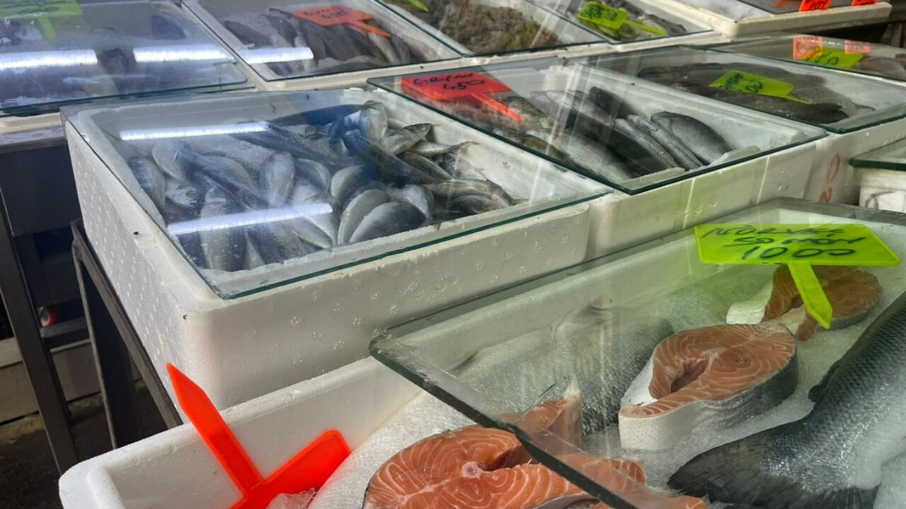 Osmaniyeli Balıkçılar Gün Sayıyor! Durgunluk Bitiyor, Balık Çeşitliliği Artıyor (1)