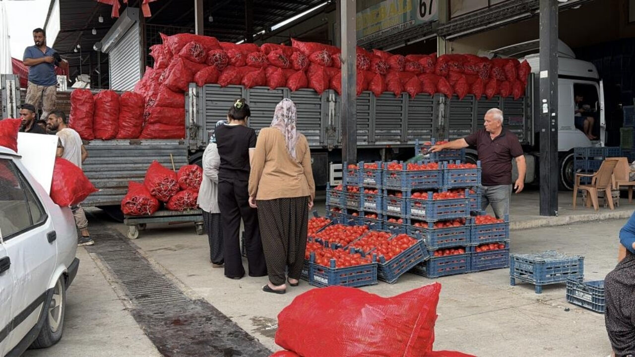 Osmaniyeliler Sebze Hali’ne Akın Etti İşte Kışlık Biber Ve Domates Fiyatları (3)
