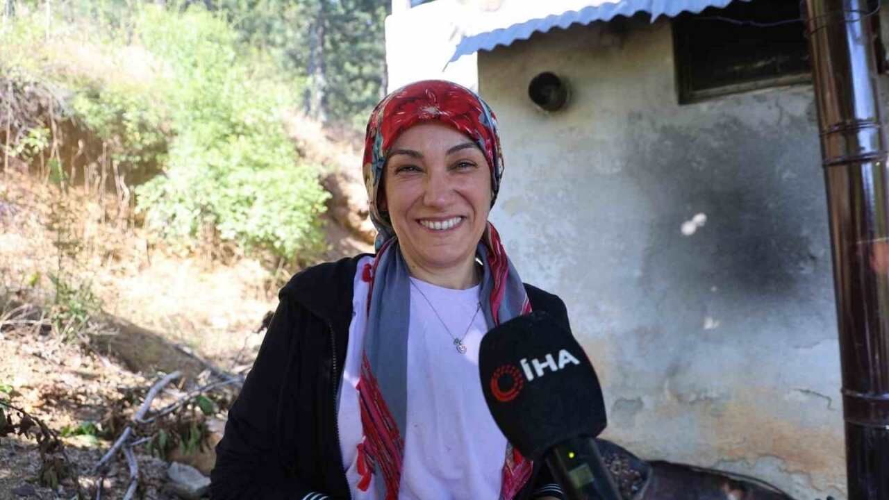 Saimbeyli'de Dalında Kalan Kirazlar Kışlık Çereze Dönüştürülüyor (2)