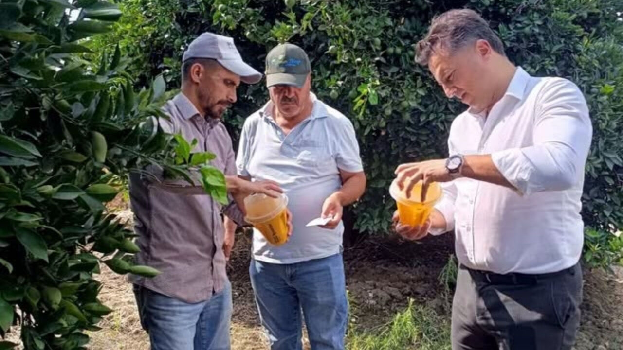 Sumbas'ta Biyoteknik Mücadele Başladı (1)
