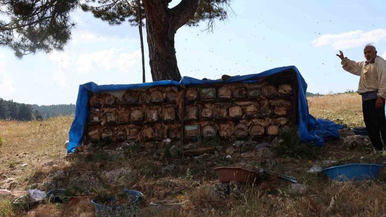 Yıldız Tek Sağım Yapılan Yaylalarda Şifa Deposu Bal Elde Ediliyor (2)