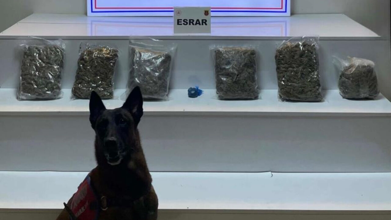 Amanoslar’ın Eteklerinde Nefes Kesen Operasyon (2)