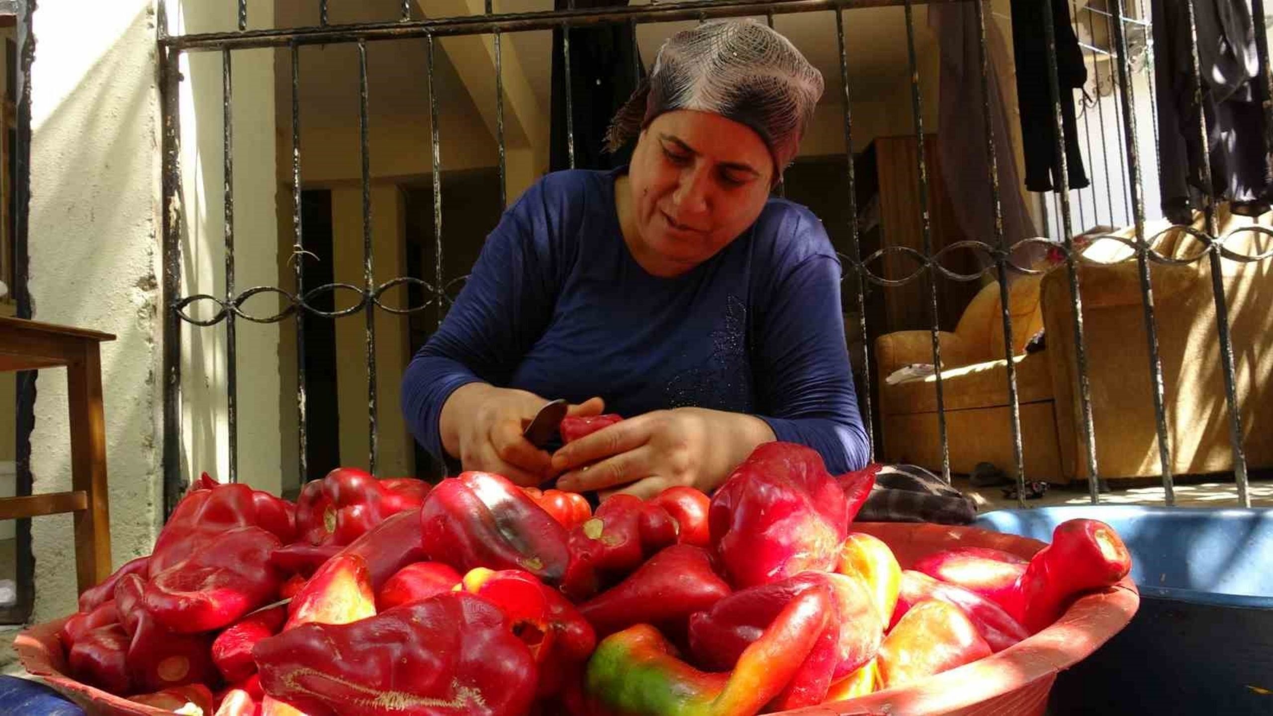 Amik Ovasında Kapya Biber Hasadı Damlarda Salçaya Dönüştürülüyor (2)