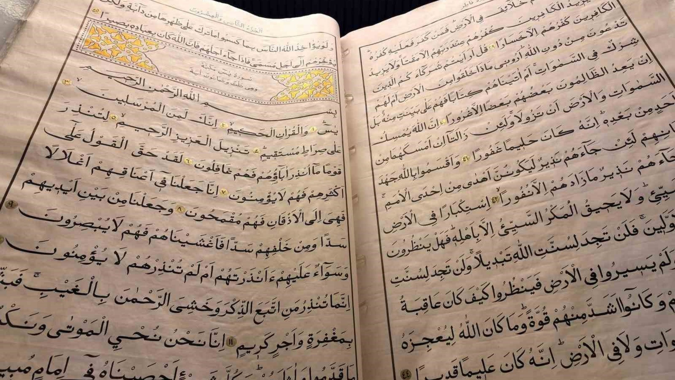 Dünyanın Ikinci Büyük El Yazması Kur'an I Kerim'i Nerede Ve Ne Zaman Sergileniyor (1)