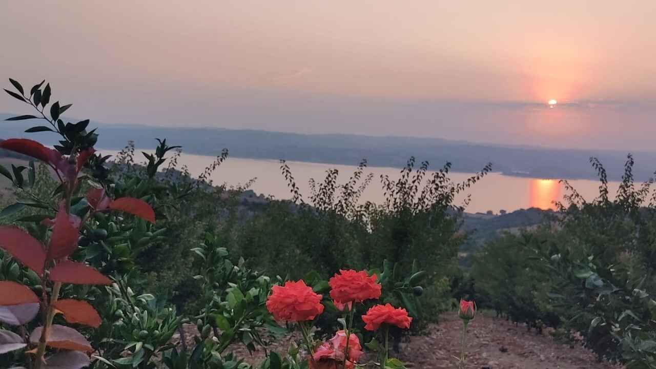 Düziçi Çerçioğlu (2)