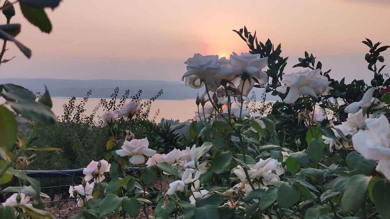 Düziçi Çerçioğlu (3)