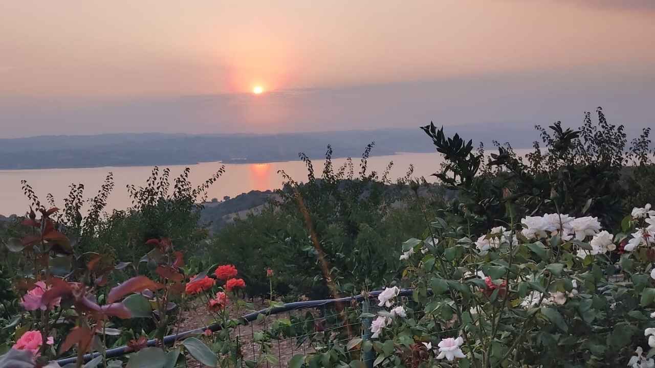 Düziçi Çerçioğlu (5)