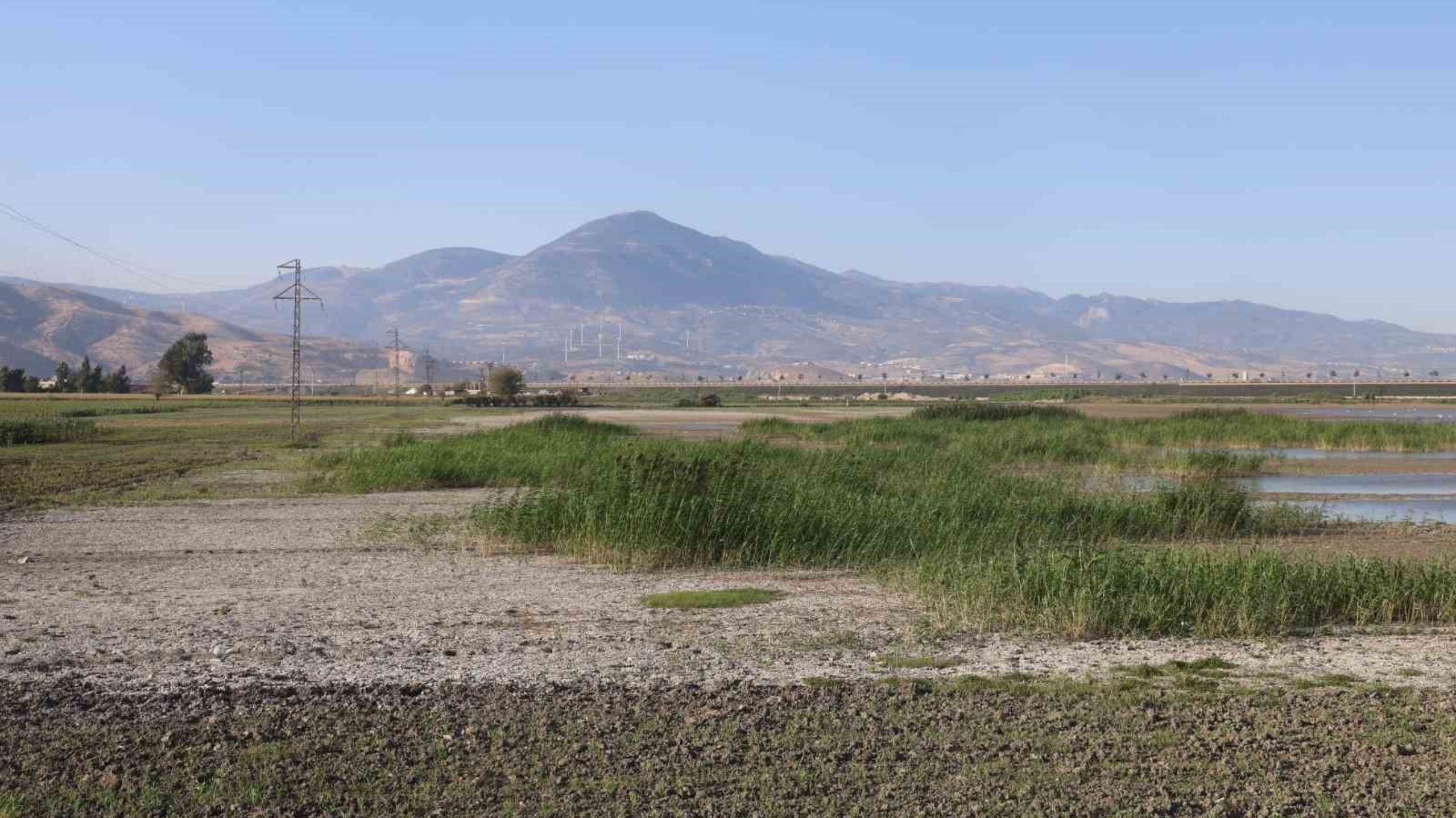 Hatay Amik Ovasındaki Tarım Arazilerinde Sular Neden Aylar Geçmesine Rağmen Çekilmedi (2)