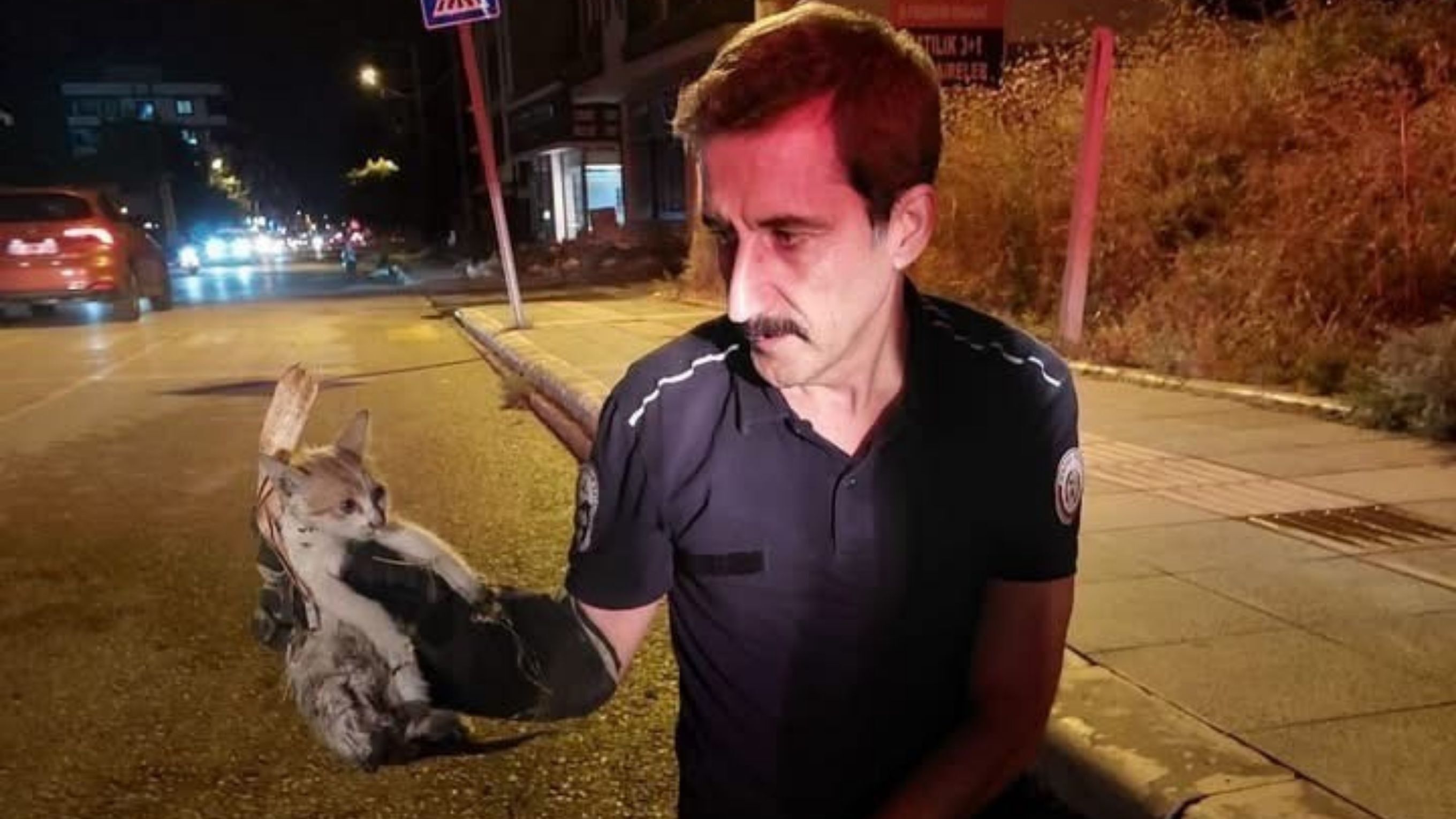 İskenderun'daki Farklı Noktalarda Mahsur Kalan Hayvanlar Kurtarıldı (2)