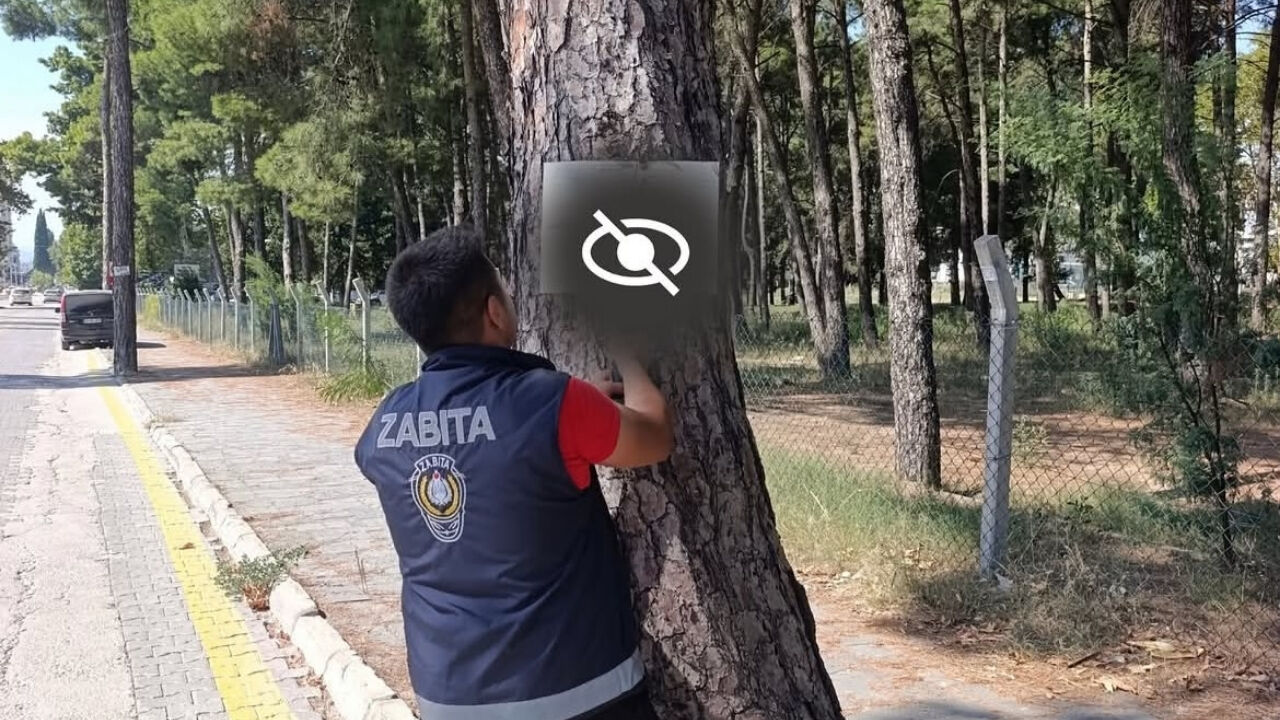 İzinsiz Afiş Ve Tabelalar Tek Tek Söküldü!