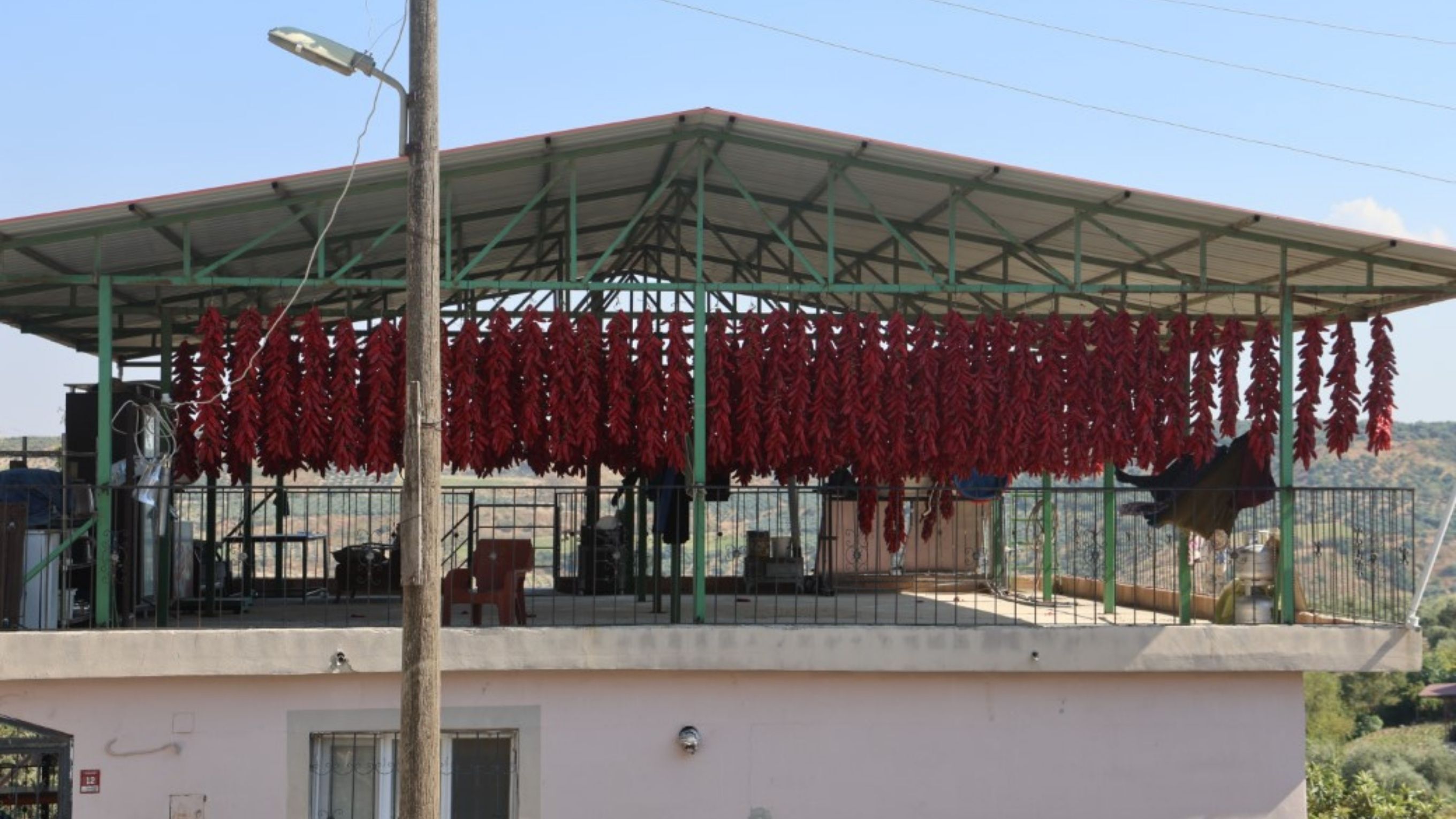 Kavurucu Sıcakta İpe Dizilen Biberler Balkonları Kırmızıya Büründü (1)