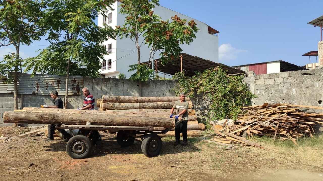 Orman Ürünleri Marangoz Çıldır Osmaniye (2)