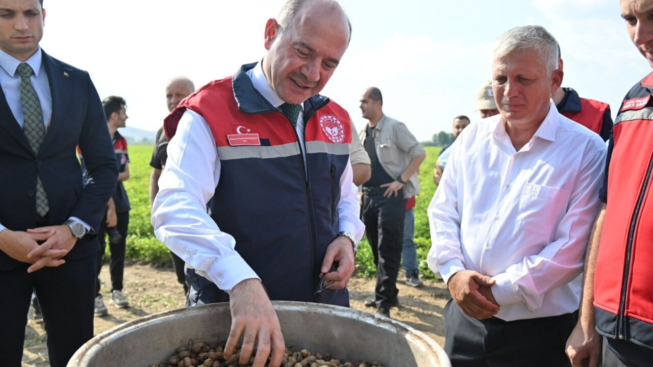 Osmaniye Fıstığı Kabuğunu Kırdı! (1)