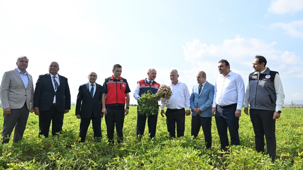 Osmaniye Fıstığı Kabuğunu Kırdı! (2)
