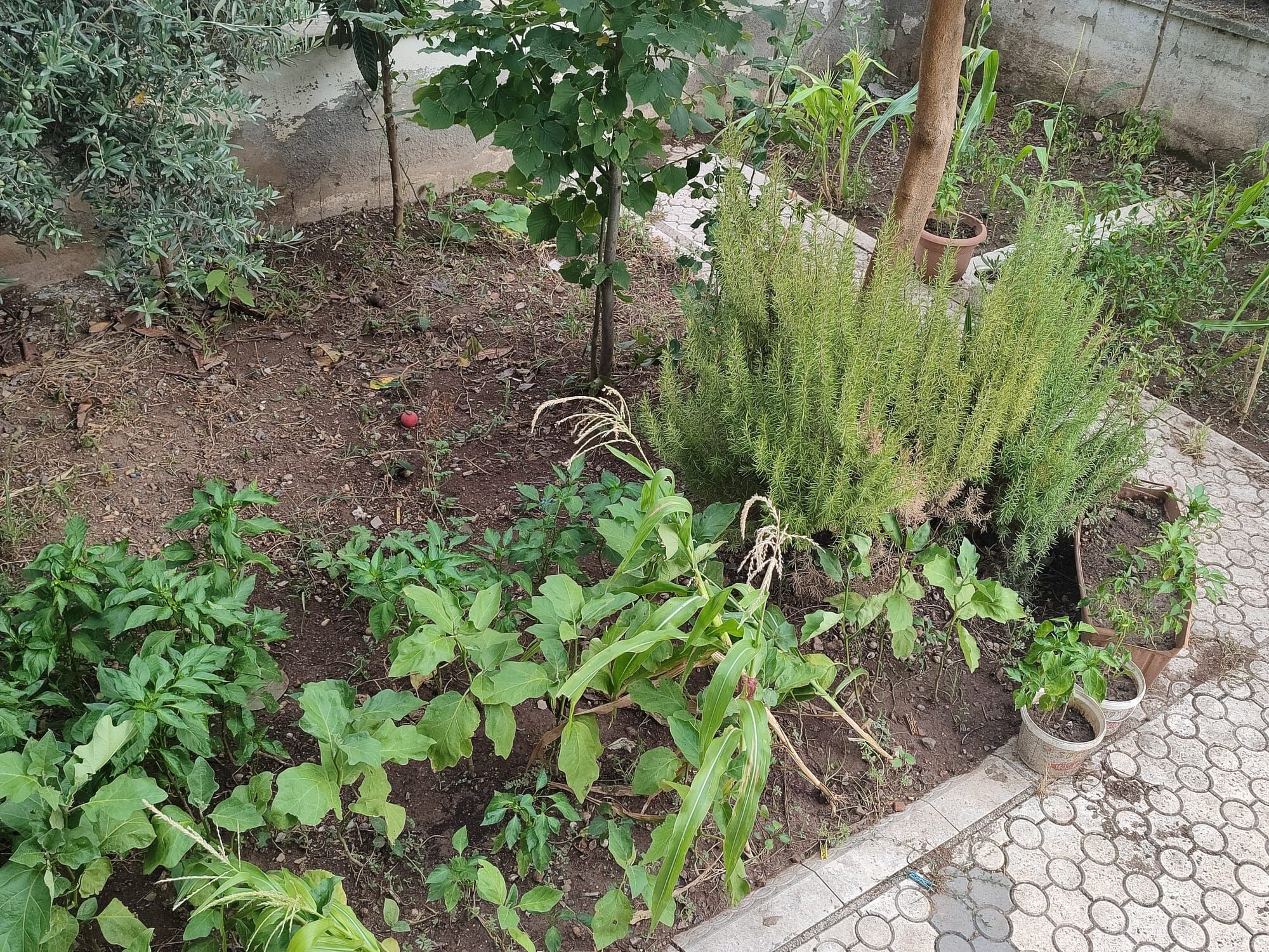 Osmaniye’de Apartman Sakinleri Imece Geleneğini Yaşatıyor!