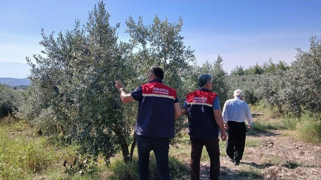 Osmaniye’de Dolu Yağışının Ardından Hasar Tespit Çalışmaları Sürüyor