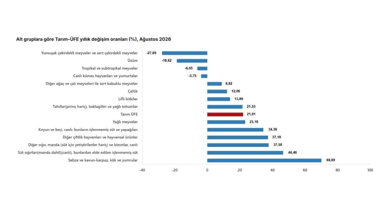 Osmaniye'de Tarlada Durum Başka (3)