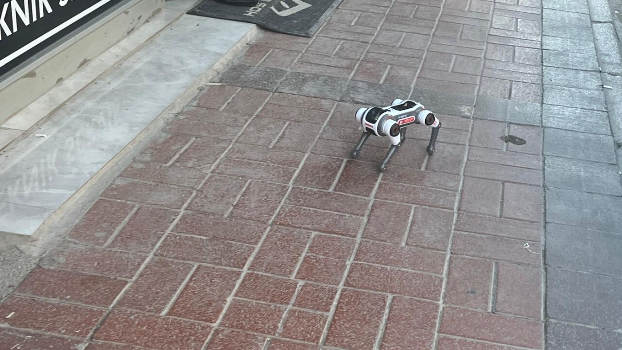 Osmaniye'de Telefoncu Esnafı Çarşıda Robot Köpek Gezdirdi (2)