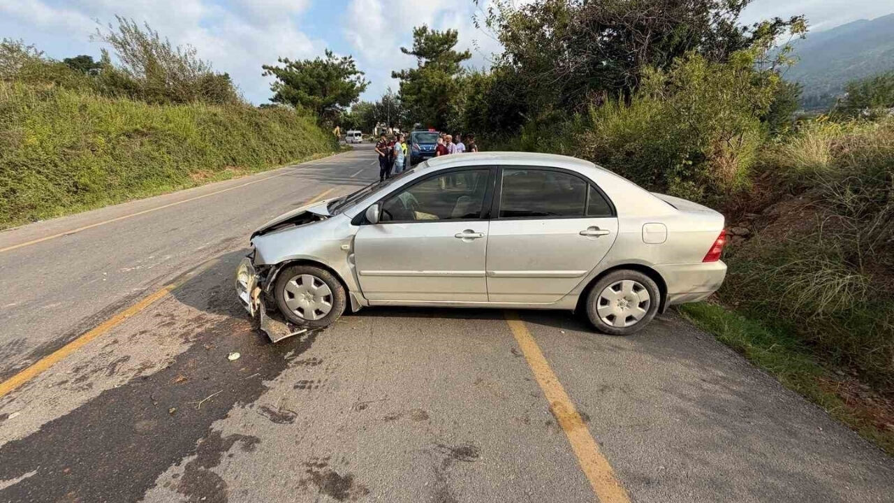 Osmaniye'de Virajı Alamayan Otomobil Takla Attı (1)