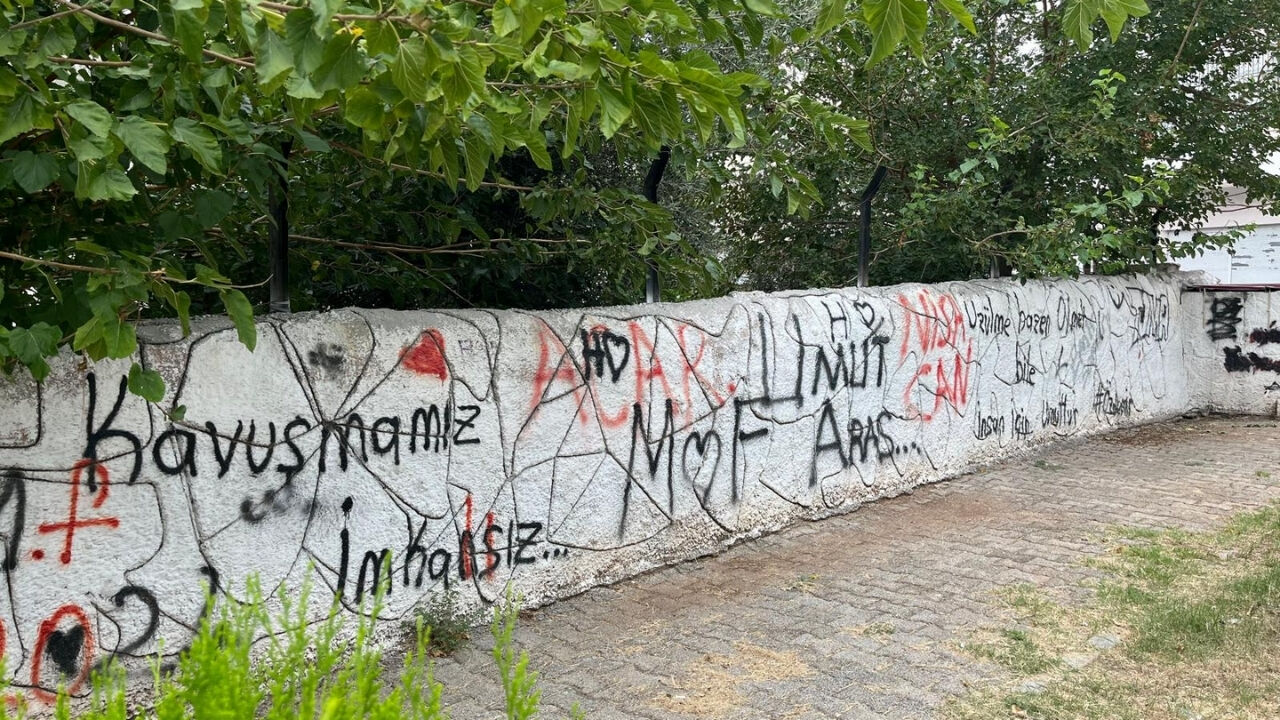 Osmaniyeli Muhtardan Gençlere Ezber Bozan Teklif Duvarları Bırakın, Size... (1)