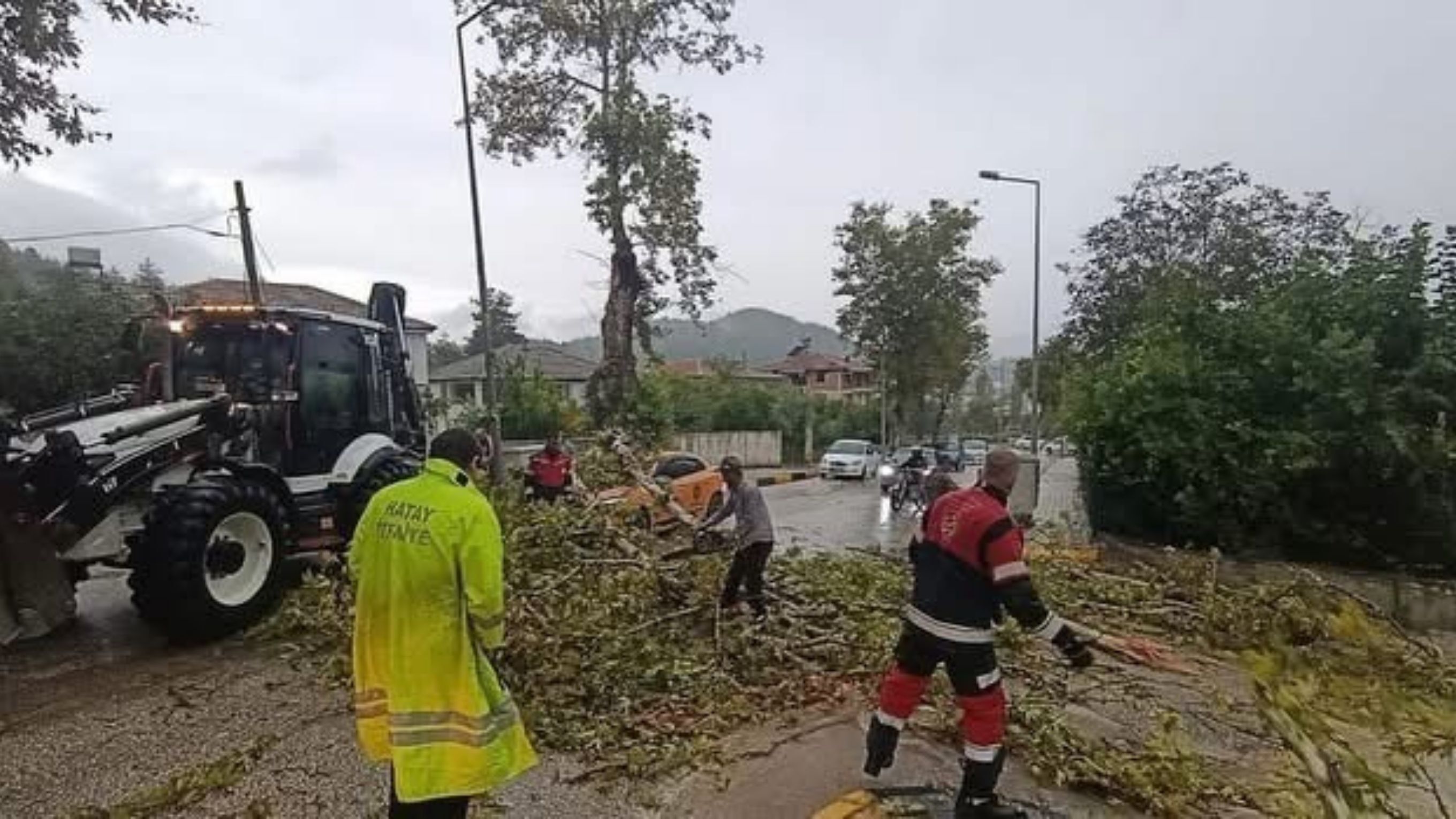 Park Halindeki Otomobilin Üzerine Ağaç Devrildi (2)