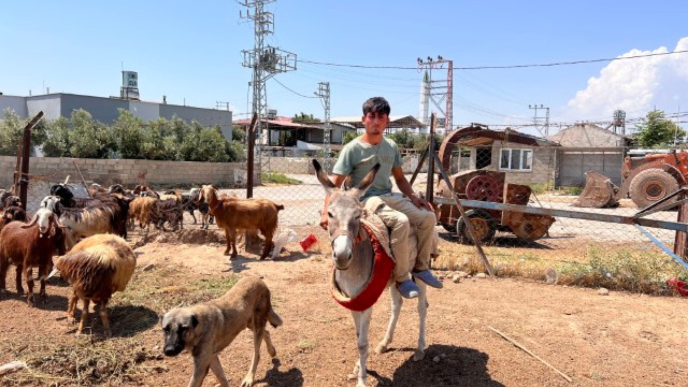 Türk Aile 5 Yıldır Baktıkları Suriyeli Abdurrahman’dan Ayrılmak Istemiyor (2)