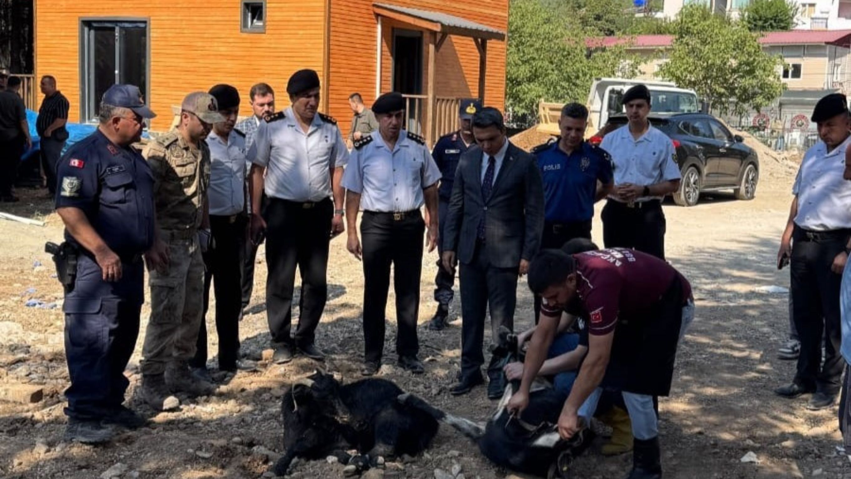 Yeni Jandarma Karakol Binası Nerede Inşa Ediliyor (2)