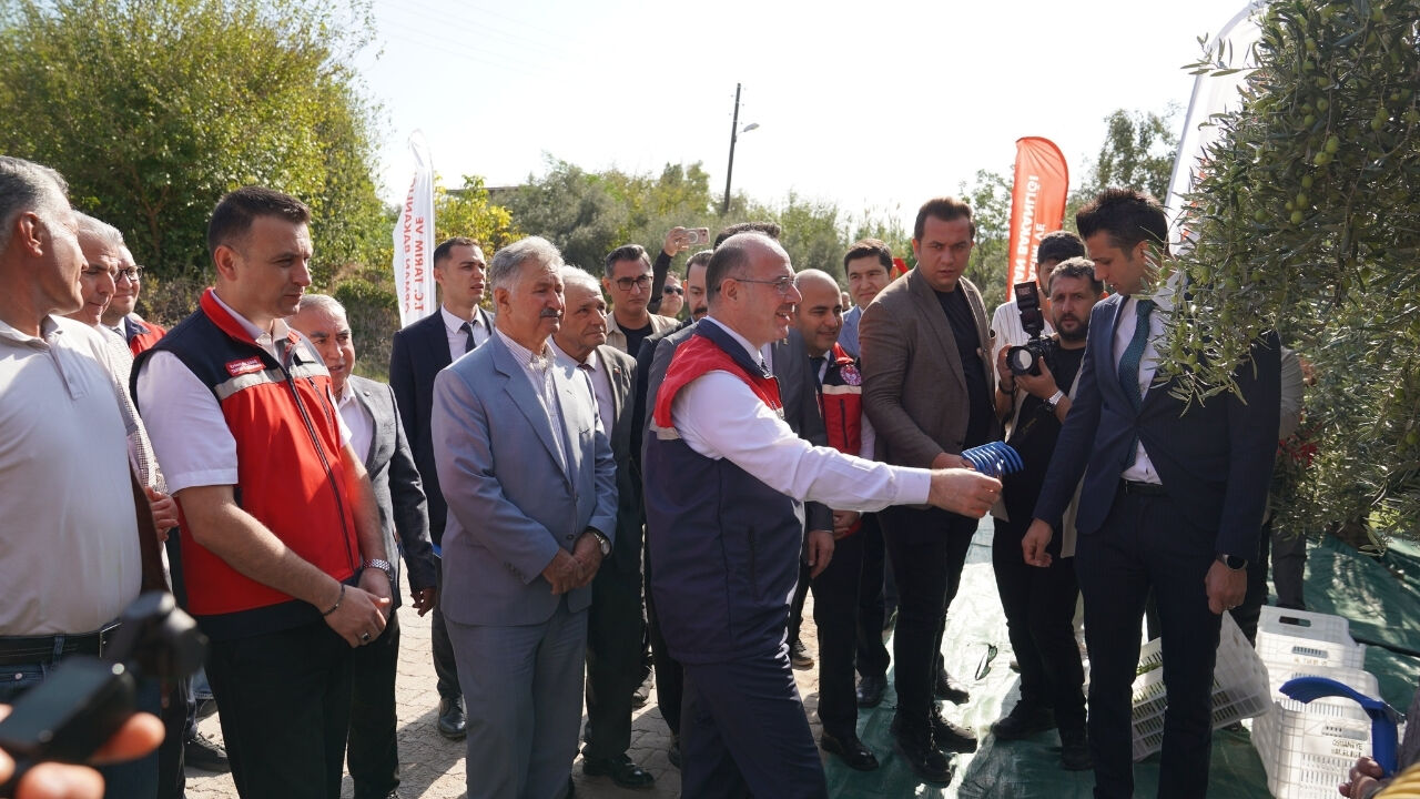 10 Milyon Ağaçta Hasat Mesaisi. Bu Yıl 107 Bin Tonun Üzerinde Rekolte Bekleniyor (1)
