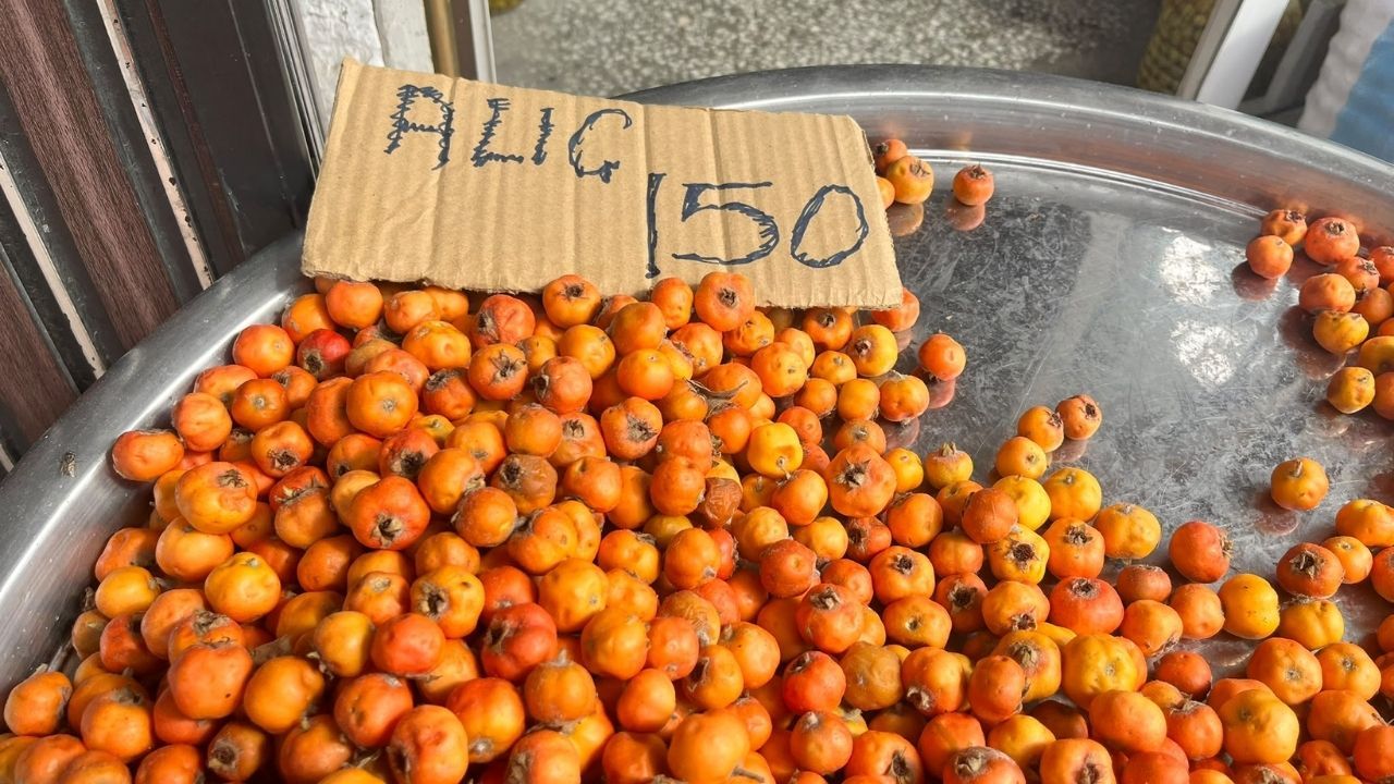 Alıç