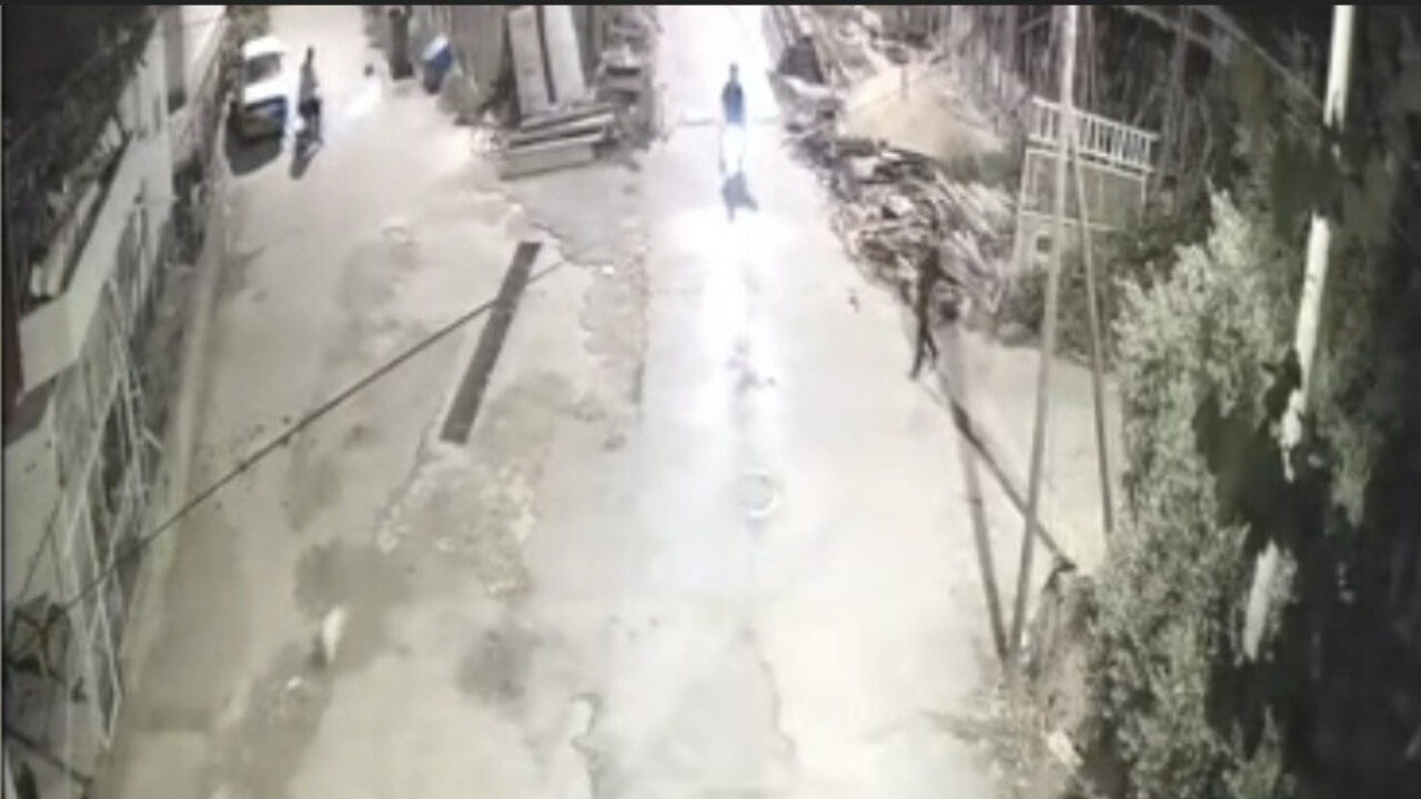 Dakikalarca Peşinden Koştular, Sığındığı Yerde Bile Rahat Bırakmadılar! Kadirli’de Akılalmaz Olay (1)