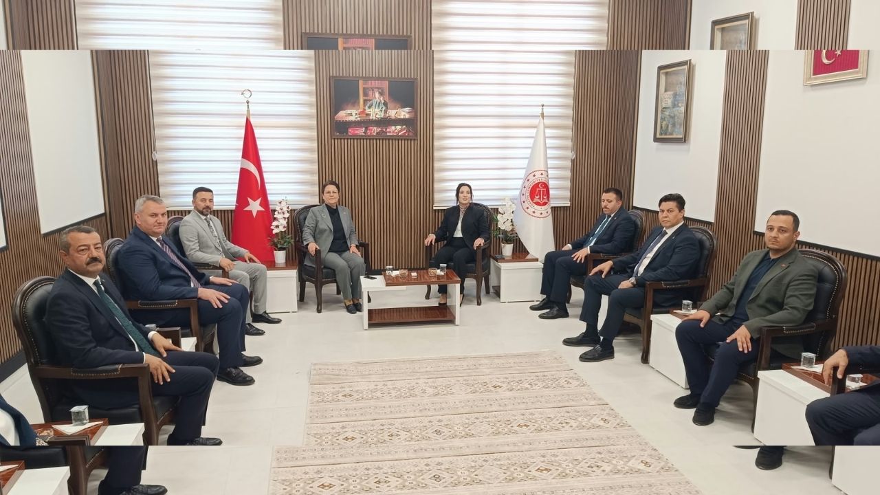 Derya Yanık Tek Tek Anlattı! İşte Düziçi, Ellek Ve Yarbaşı'na Yapılan Dev Hizmetler... (8)