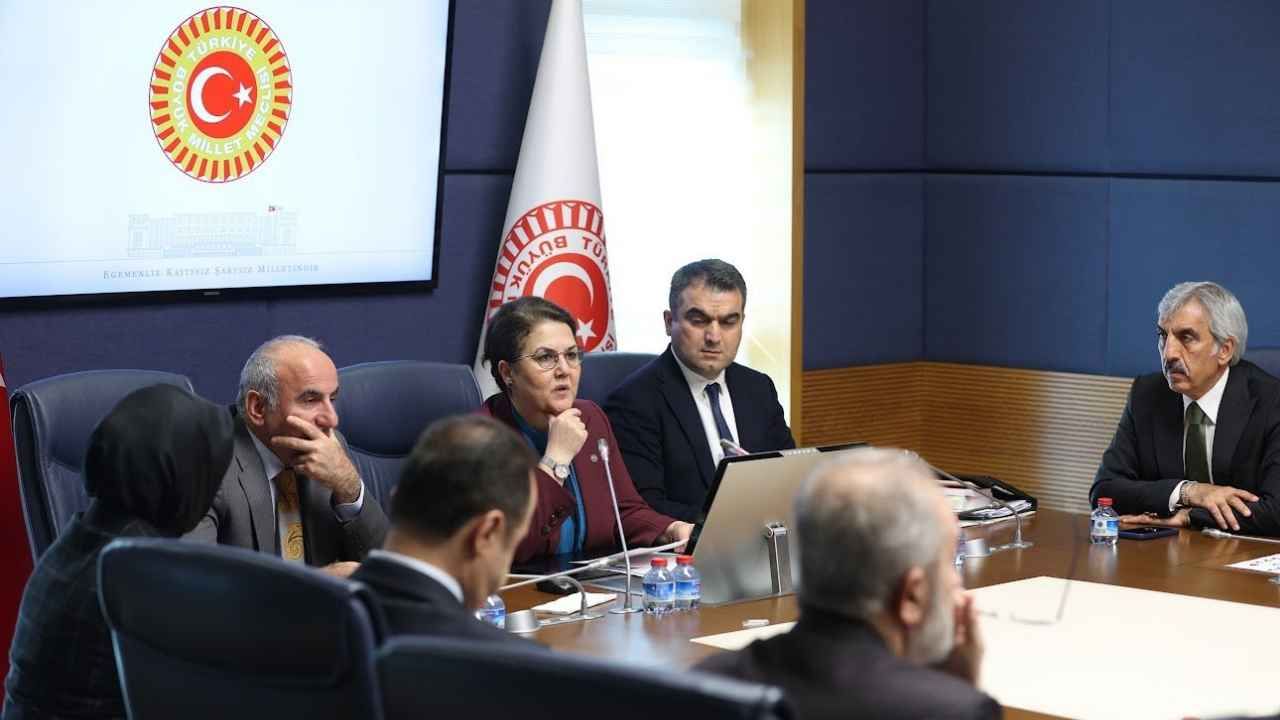 Derya Yanık'tan Komisyon Toplantısı Sonrası İnsan Onuru Vurgusu (1)