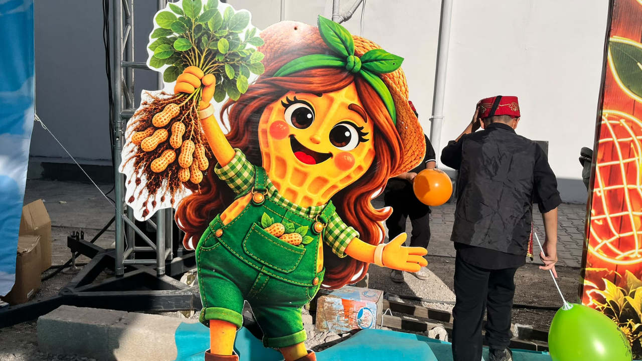 Fıstıkfest Hatırası (3)