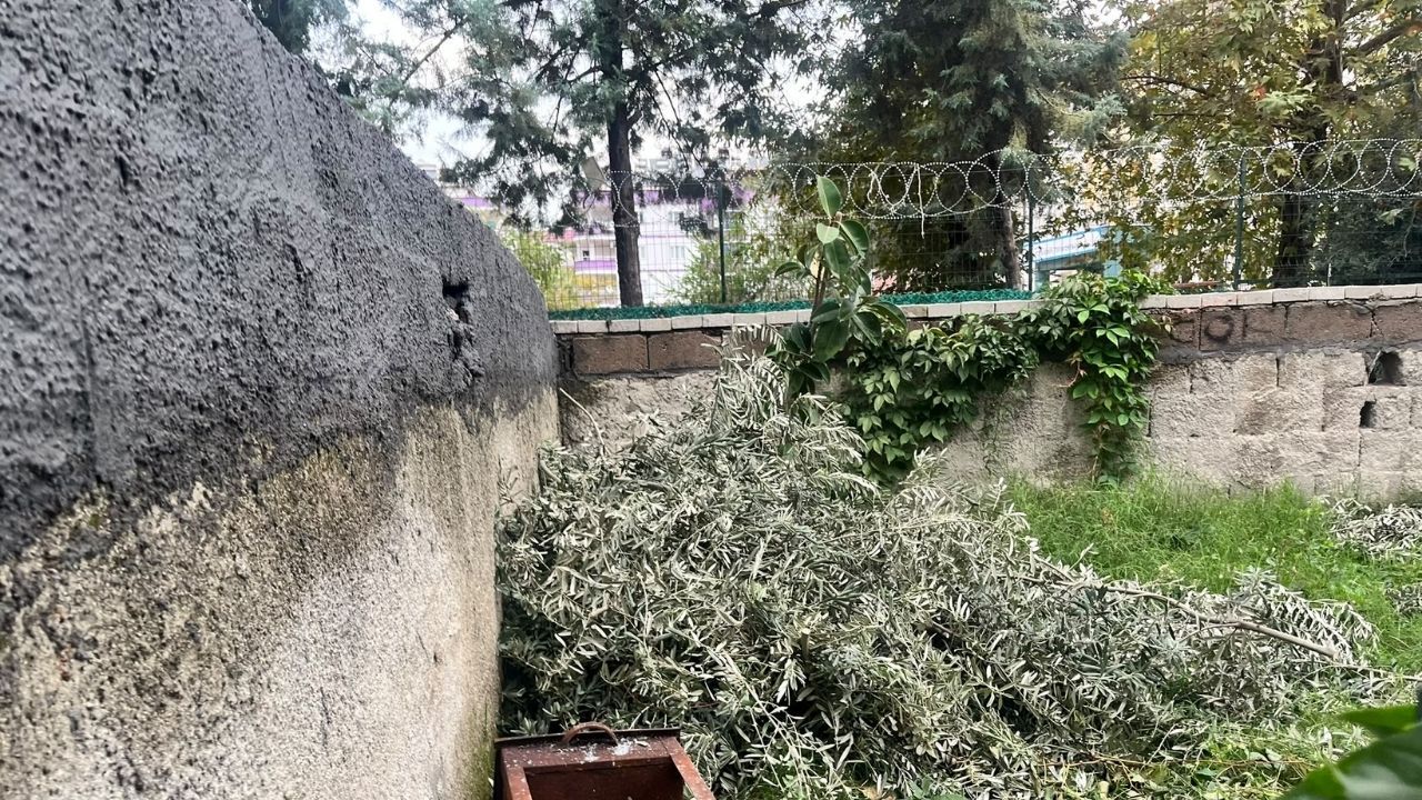 Gelecek Yılın Verimi İçin Kollar Sıvandı (1)