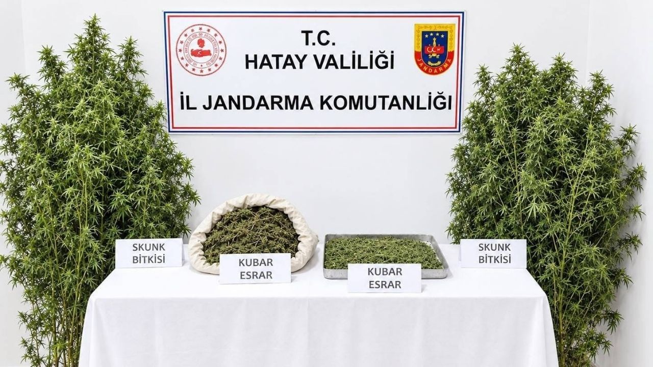 Hatay'da Kenevir Operasyonu Nasıl Düzenlendi (2)