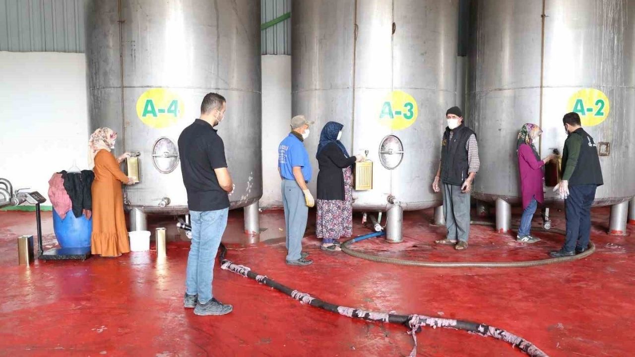 Hatay'daki Zeytin Üreticilerine Hangi Mesleki Eğitimler Veriliyor (1)