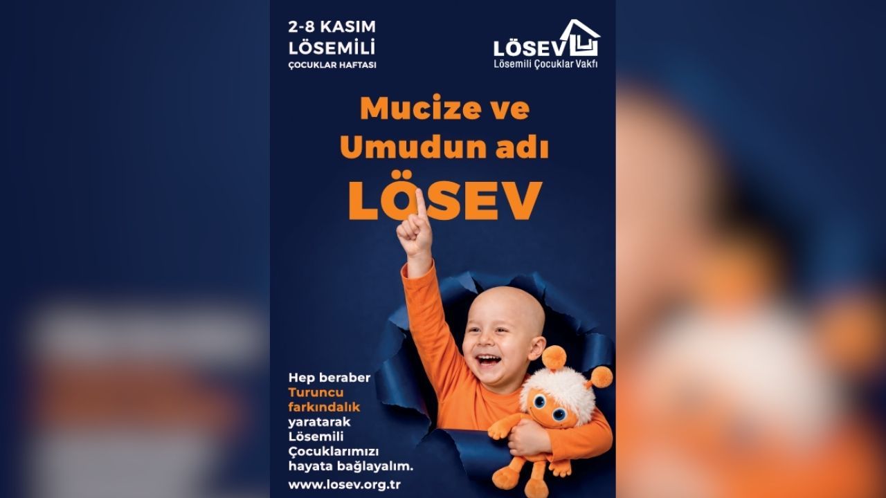 Korunan Zeytin Ağacı (4)