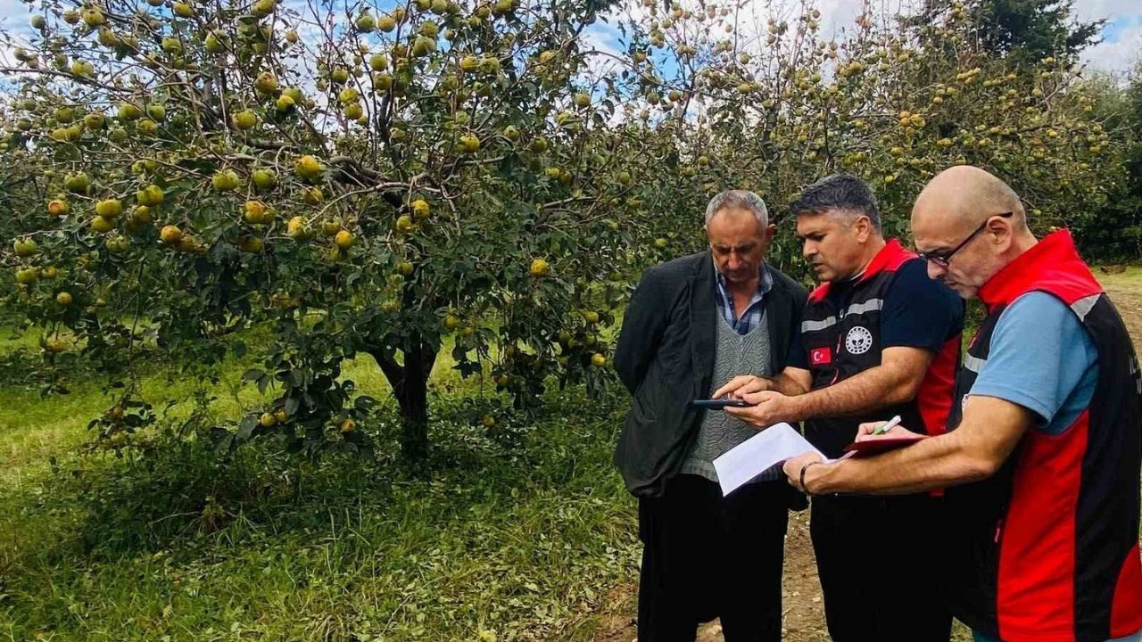 Kozan'daki Dolu Yağışı Zarara Yol Açtı (1)