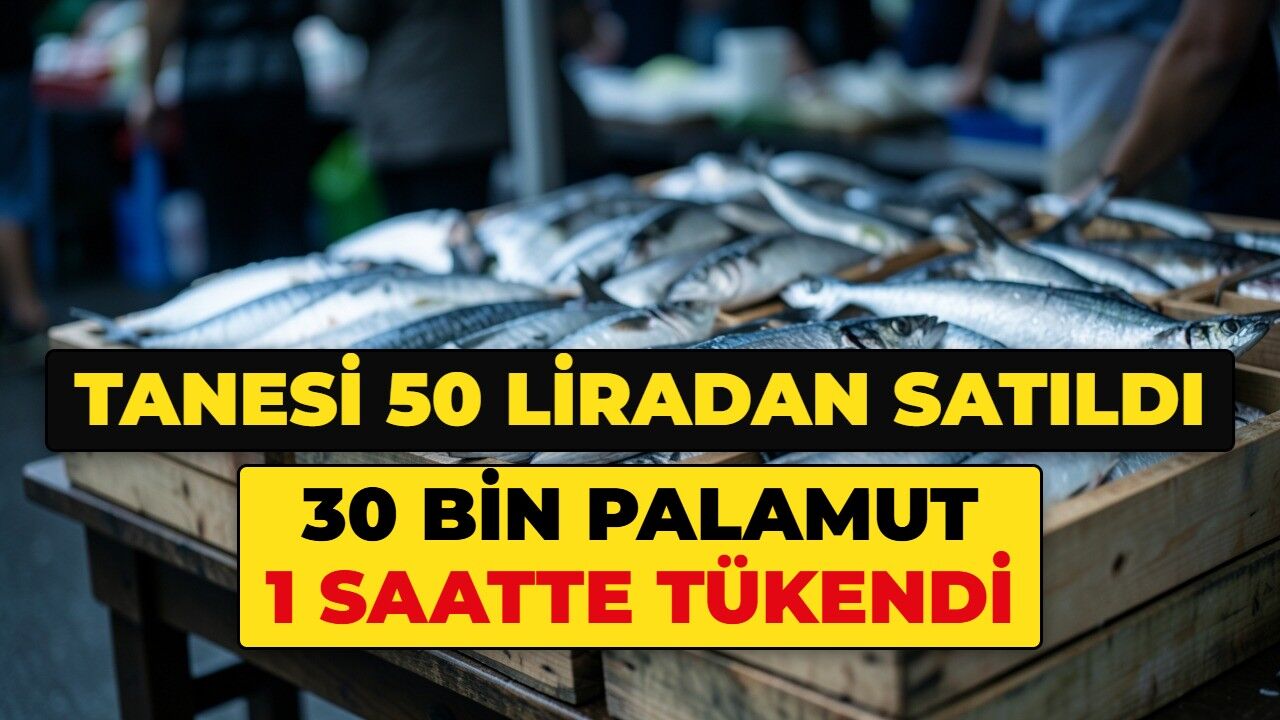 Tanesi 50 liradan satışa çıktı, 30 bin palamut 1 saatte tükendi
