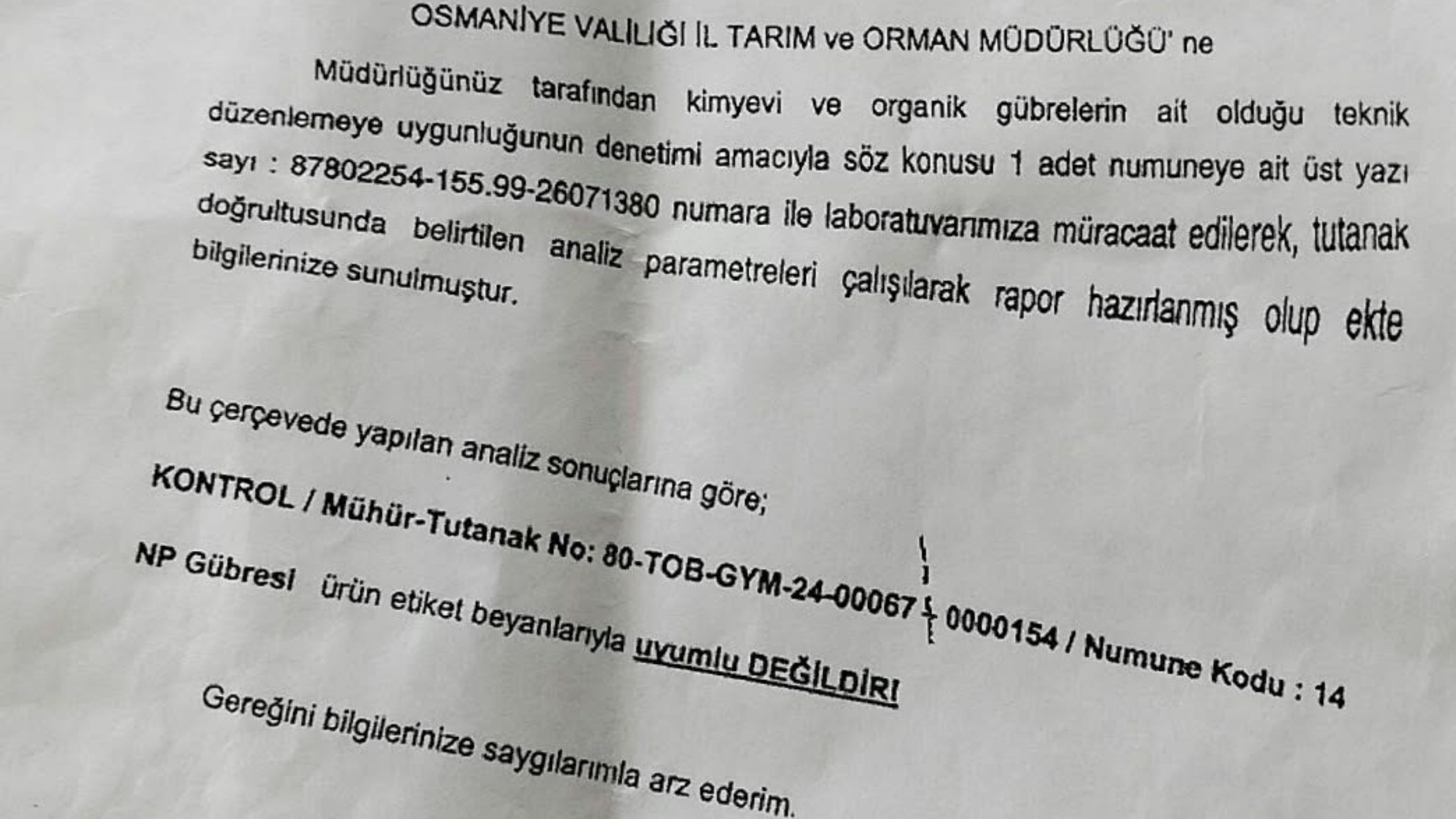 Mısır Tarlasında Meydana Gelen 1 Milyon Liralık Zarar Nasıl Tespiti Yapıldı (2)