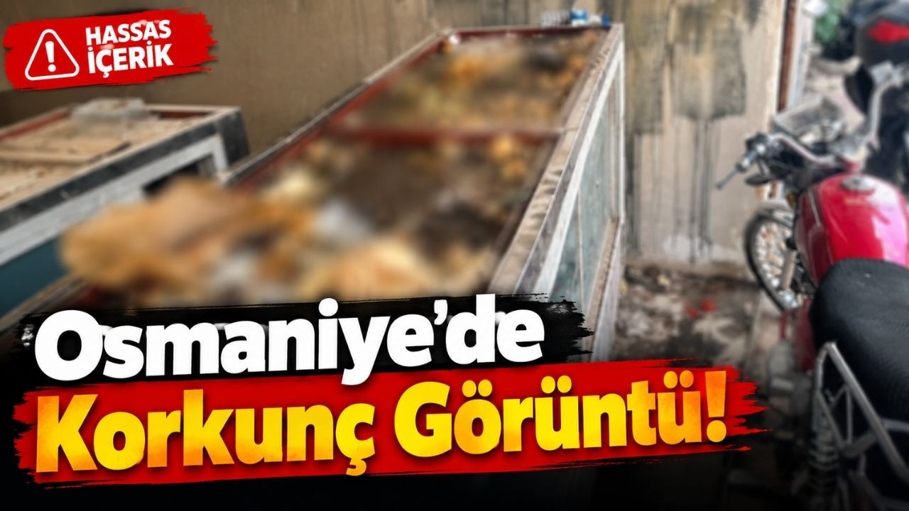 Osmaniye Alibeyli’de Pes Dedirten Manzara