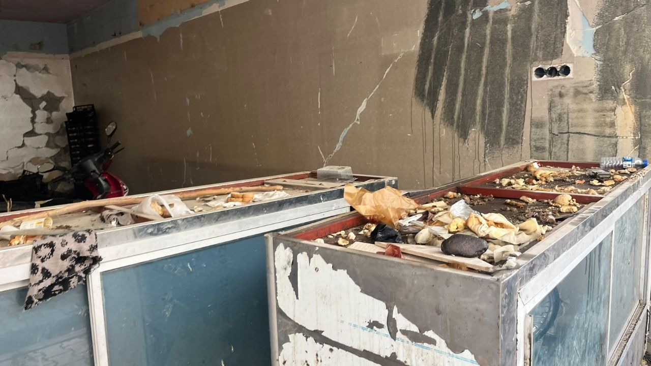 Osmaniye Alibeyli’de Pes Dedirten Manzara