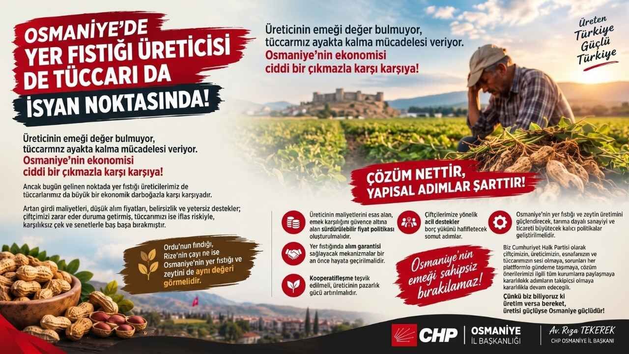 Osmaniye Fıstığında Büyük Kriz (1)