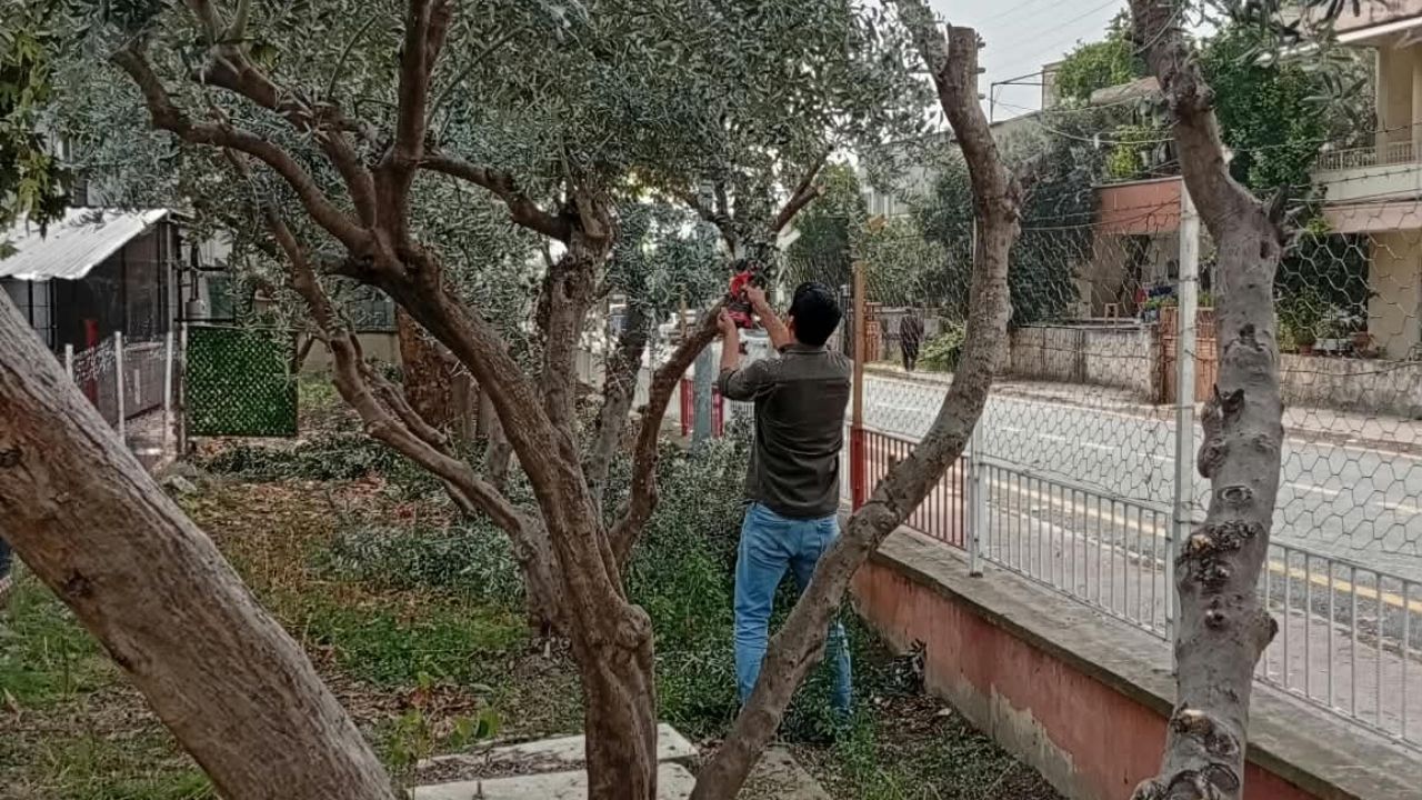 Osmaniye’de Anlamlı Etkinlik Türkmenbeyi İlkokulu Öğrencileriyle Yeşil Vatan İçin El Ele! (2)