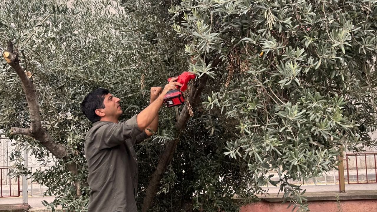 Osmaniye’de Anlamlı Etkinlik Türkmenbeyi İlkokulu Öğrencileriyle Yeşil Vatan İçin El Ele!