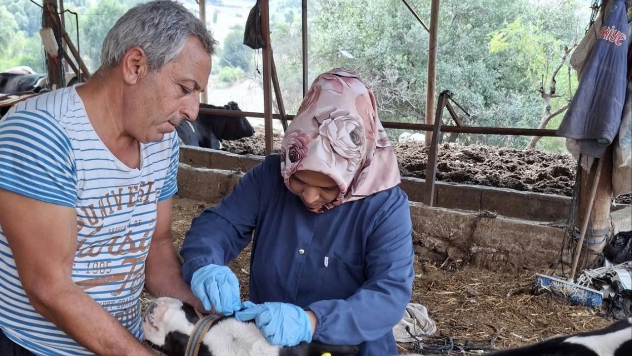 Osmaniye'de Hayvan Hareketlerine Sıkı Takip (3)