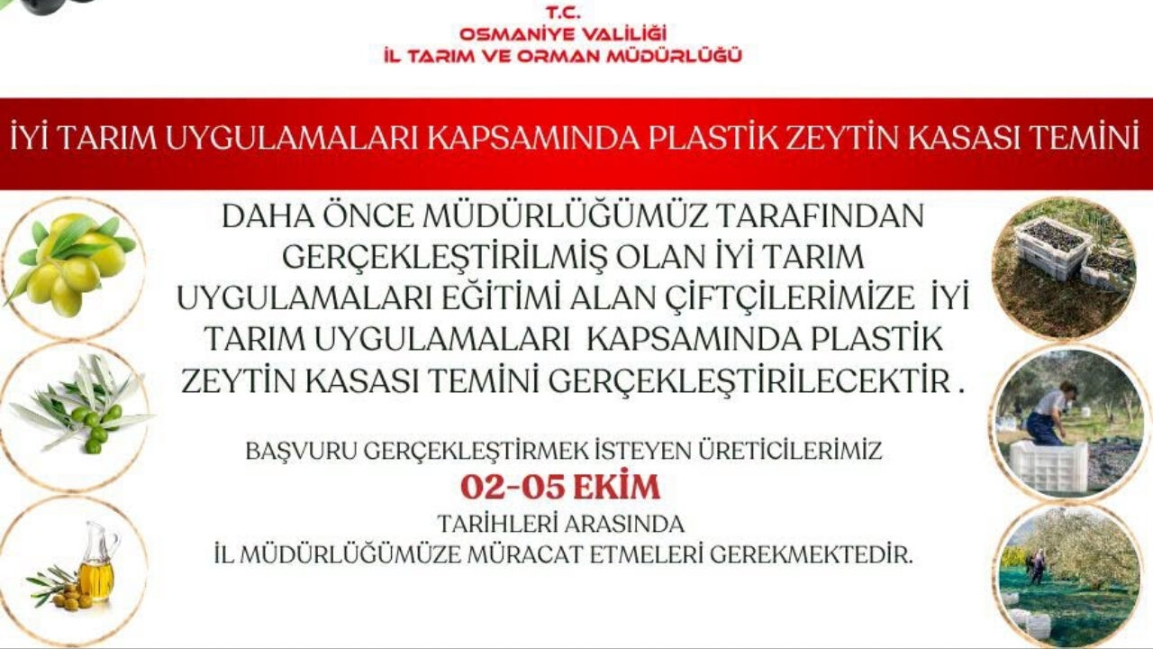 Osmaniye'de O Şartı Sağlayan Çiftçilere Bedava Zeytin Kasası Verilecek! (1)
