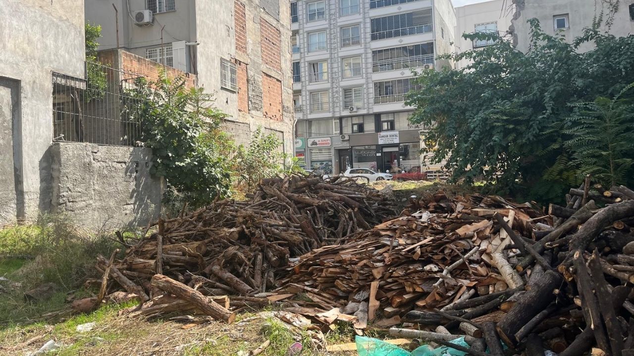 Osmaniye'de Vatandaş Parayla Değil Kas Gücüyle Kışa Hazırlanıyor (2)